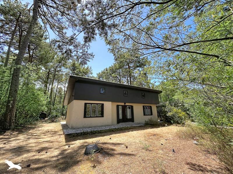 Vente Maison LACANAU - 4 pièces -83 m² - (33680)