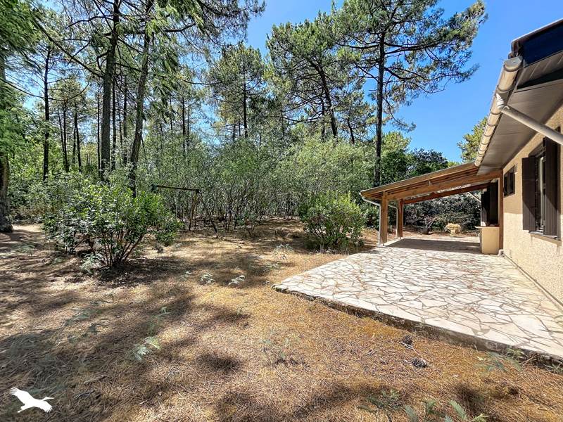 Vente Maison LACANAU - 4 pièces -83 m² - (33680)