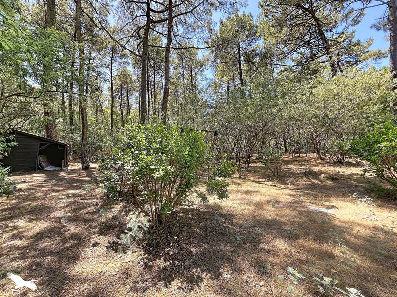 Vente Maison LACANAU - 4 pièces -83 m² - (33680)