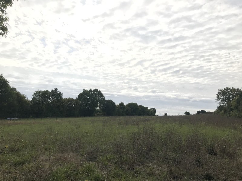 Vente Terrain ST SATURNIN DU BOIS - -3247 m² - (17700)