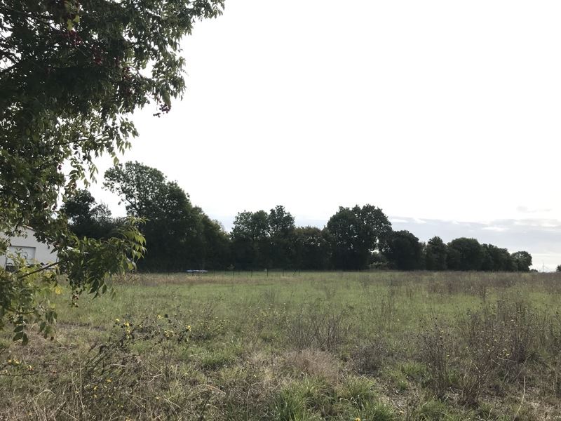 Vente Terrain ST SATURNIN DU BOIS - -3247 m² - (17700)