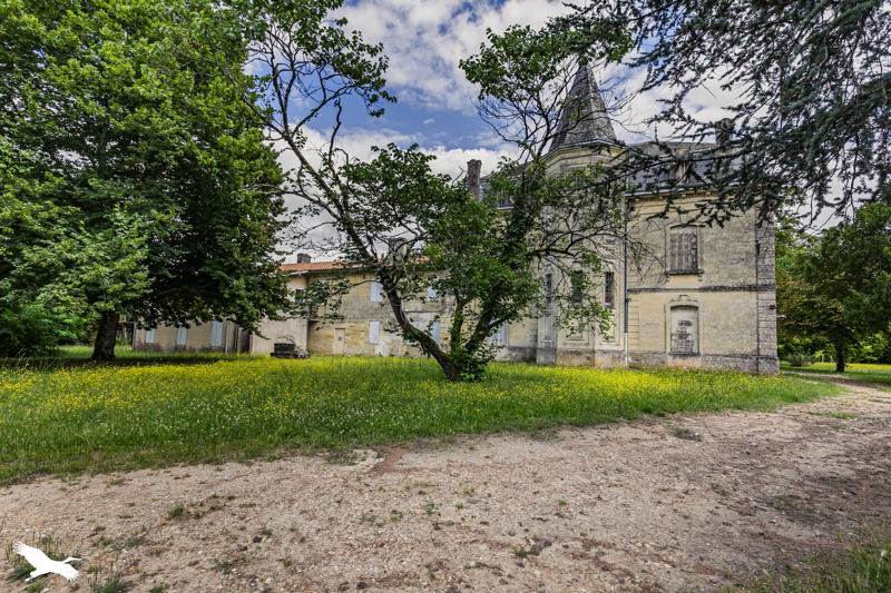 Vente Château ST DENIS DE PILE - 30 pièces -650 m² - (33910)