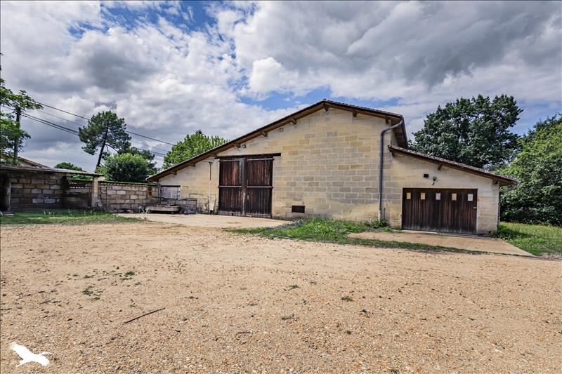 Vente Château ST DENIS DE PILE - 30 pièces -650 m² - (33910)