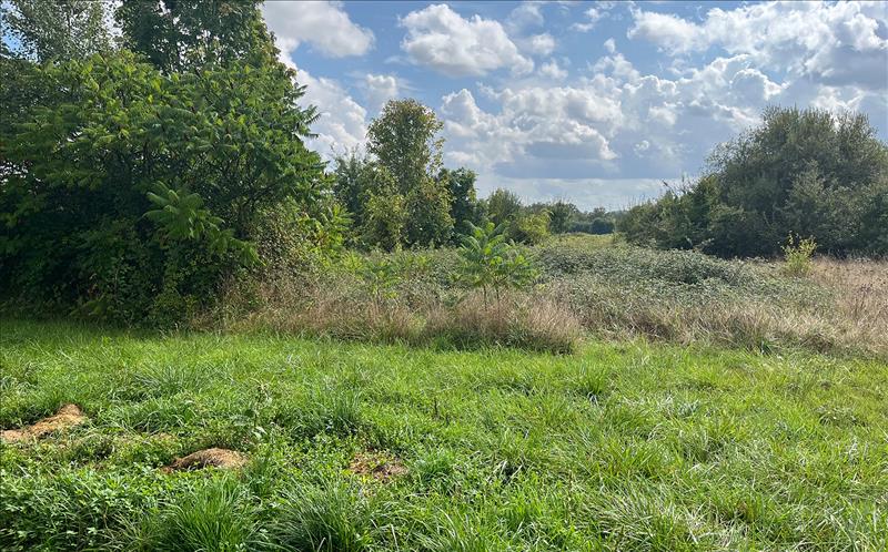 Vente Terrain ST CIERS D ABZAC - -949 m² - (33910)