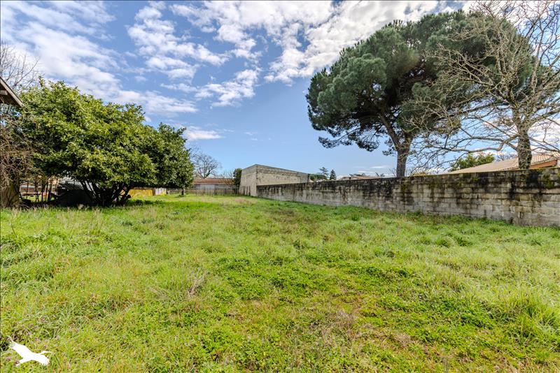 Vente Maison ST DENIS DE PILE - 10 pièces -289 m² - (33910)