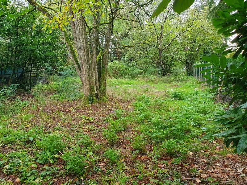Vente Maison ST DENIS DE PILE - 6 pièces -222 m² - (33910)