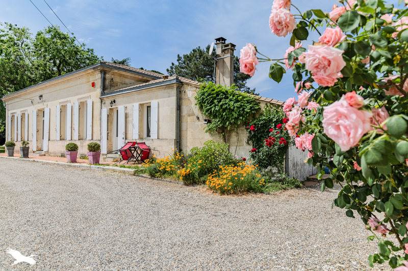 Vente Maison ST DENIS DE PILE - 7 pièces -253 m² - (33910)