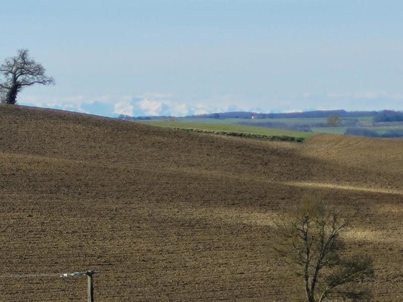 Vente Terrain MAIGNAUT TAUZIA - -3000 m² - (32310)