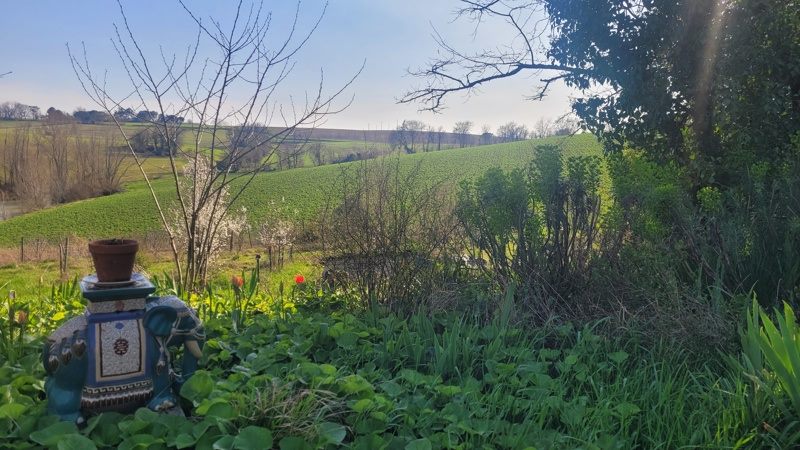 Vente Maison BLAZIERT - 9 pièces -230 m² - (32100)