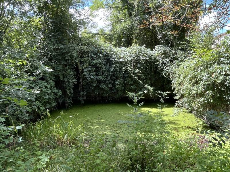 Vente Maison ST PUY - 5 pièces -125 m² - (32310)