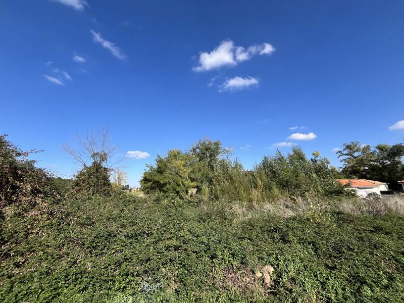 Vente Terrain CAUSSENS - -879 m² - (32100)