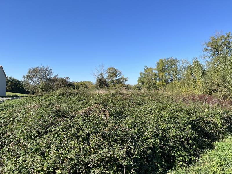 Vente Terrain CAUSSENS - -879 m² - (32100)