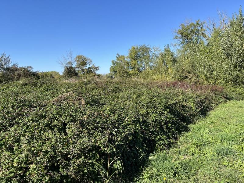 Vente Terrain CAUSSENS - -879 m² - (32100)