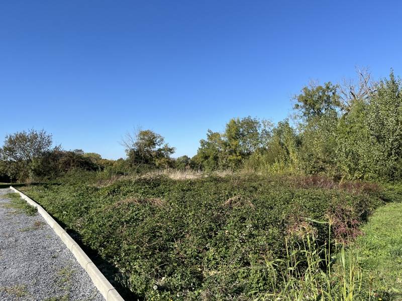 Vente Terrain CAUSSENS - -879 m² - (32100)
