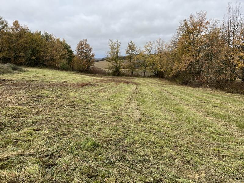 Vente Terrain BERAUT - -1800 m² - (32100)