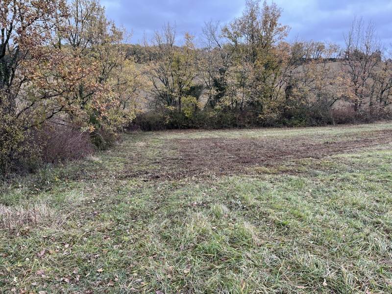 Vente Terrain BERAUT - -1800 m² - (32100)