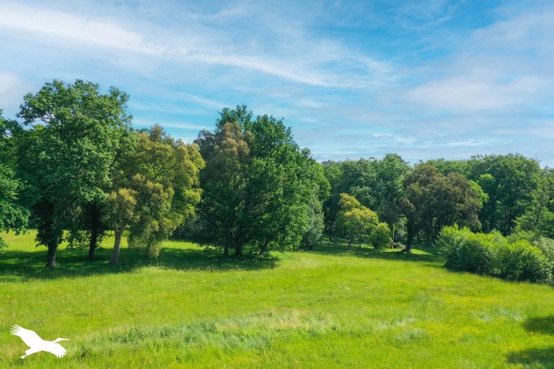 Vente Maison MONTREAL - 7 pièces -250 m² - (32250)