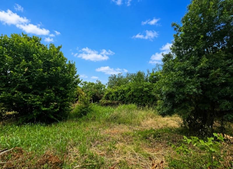 Vente Maison CAUSSENS - 6 pièces -140 m² - (32100)