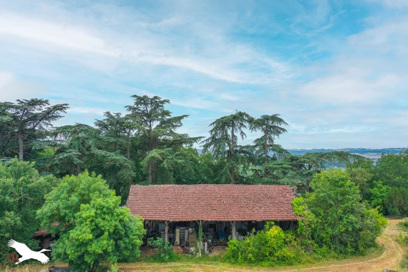 Vente Maison BONAS - 11 pièces -321 m² - (32410)