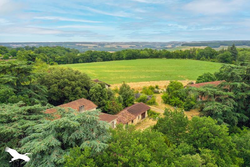 Vente Maison BONAS - 11 pièces -321 m² - (32410)