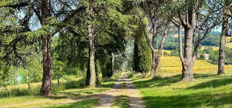 Vente Maison Castéra-Verduzan - 13 pièces -490 m² - (32410)