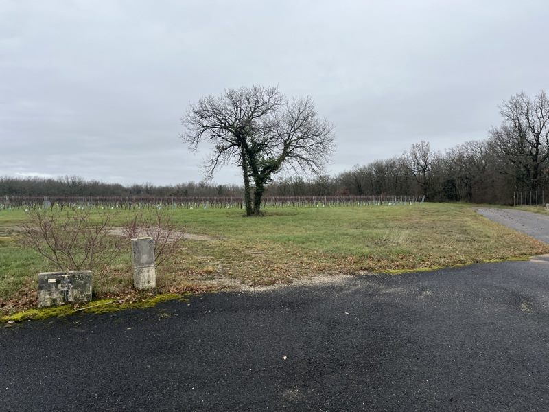 Vente Terrain MOSNAC ST SIMEUX - -1004 m² - (16120)