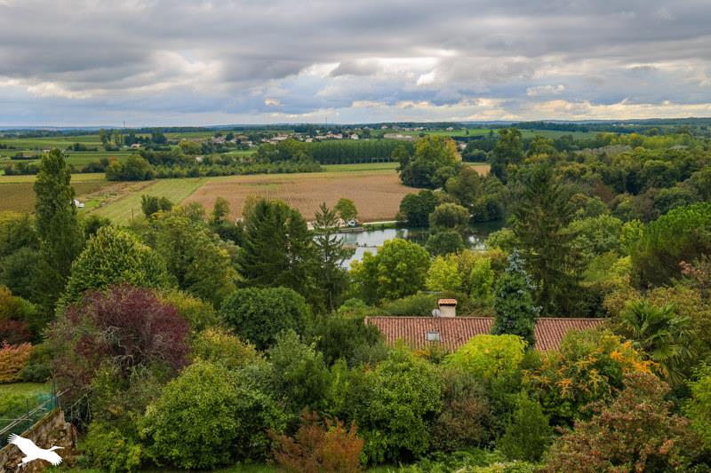 Vente Maison MOSNAC ST SIMEUX - 7 pièces -140 m² - (16120)