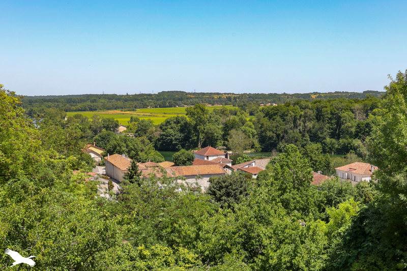Vente Maison MOSNAC ST SIMEUX - 5 pièces -132 m² - (16120)
