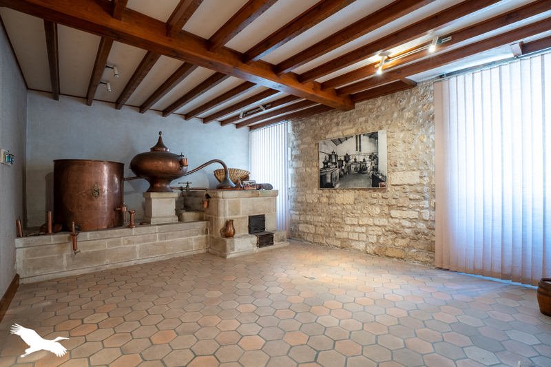 Vente Maison CHATEAUNEUF SUR CHARENTE - 10 pièces -456 m² - (16120)