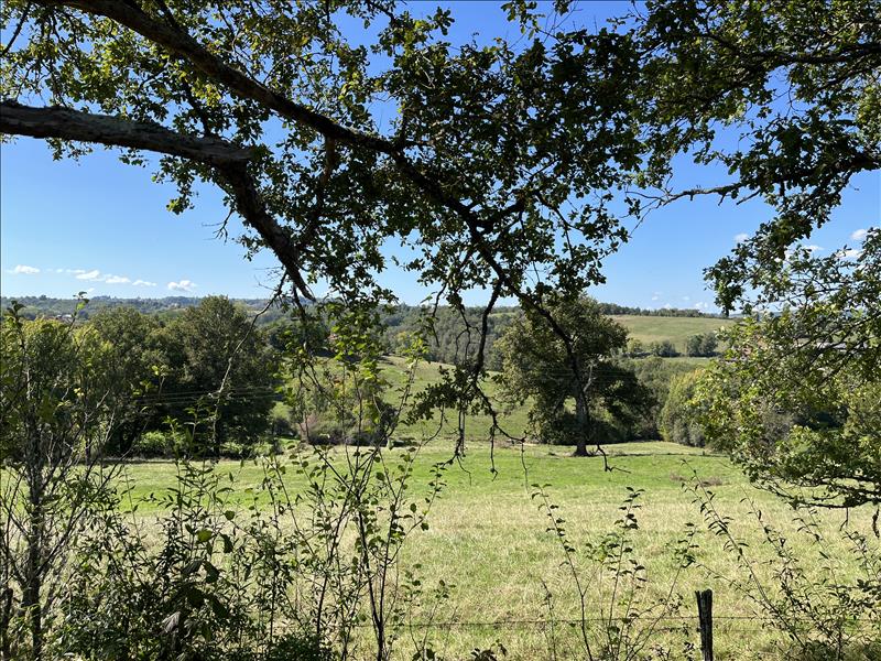 Vente Terrain ST CYPRIEN - -2290 m² - (19130)