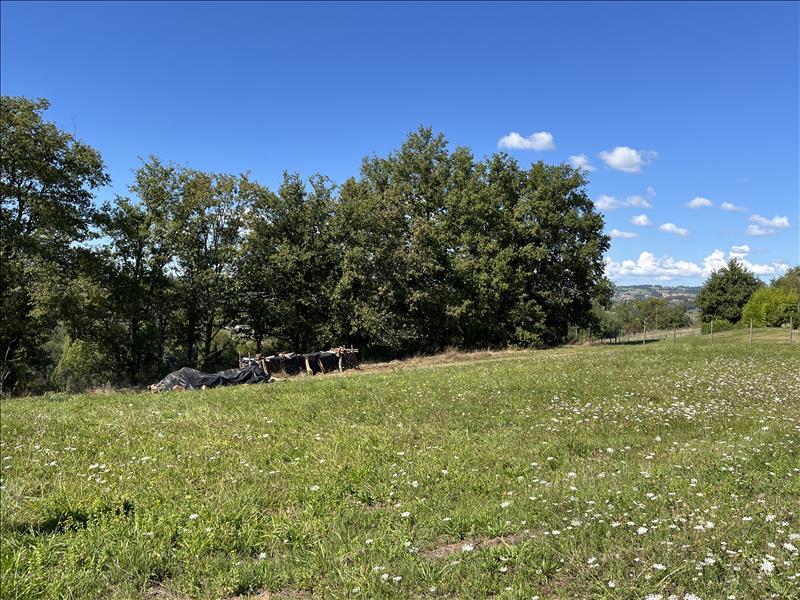 Vente Terrain ST CYPRIEN - -1145 m² - (19130)