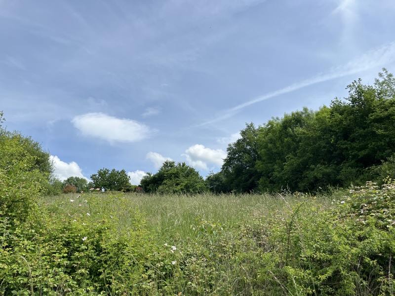 Vente Terrain VIGNOLS - -8294 m² - (19130)
