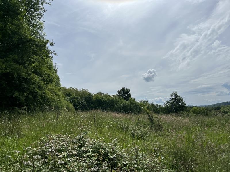 Vente Terrain VIGNOLS - -8294 m² - (19130)