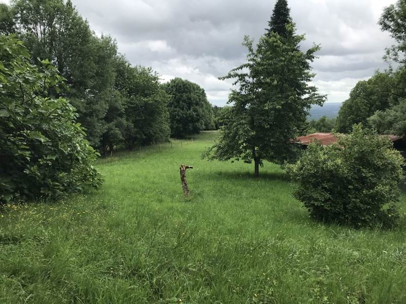 Vente Maison ST SOLVE - 6 pièces -123 m² - (19130)