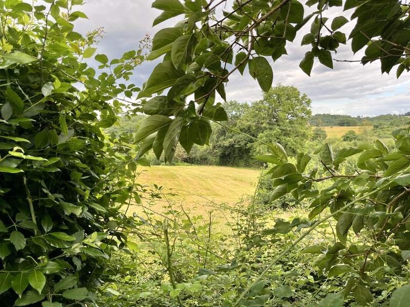 Vente Maison ST VIANCE - 5 pièces -97 m² - (19240)