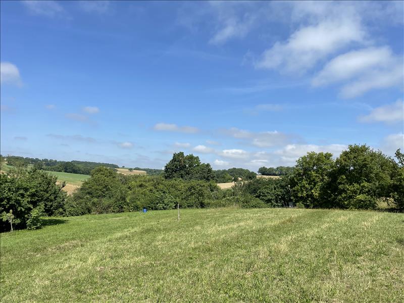 Vente Terrain CADEILHAN - -2308 m² - (32380)