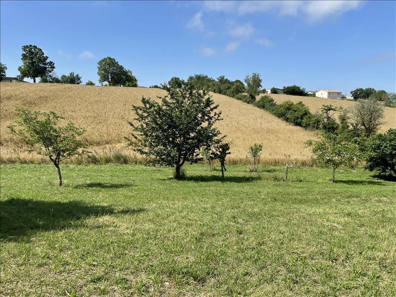 Vente Terrain CADEILHAN - -2308 m² - (32380)