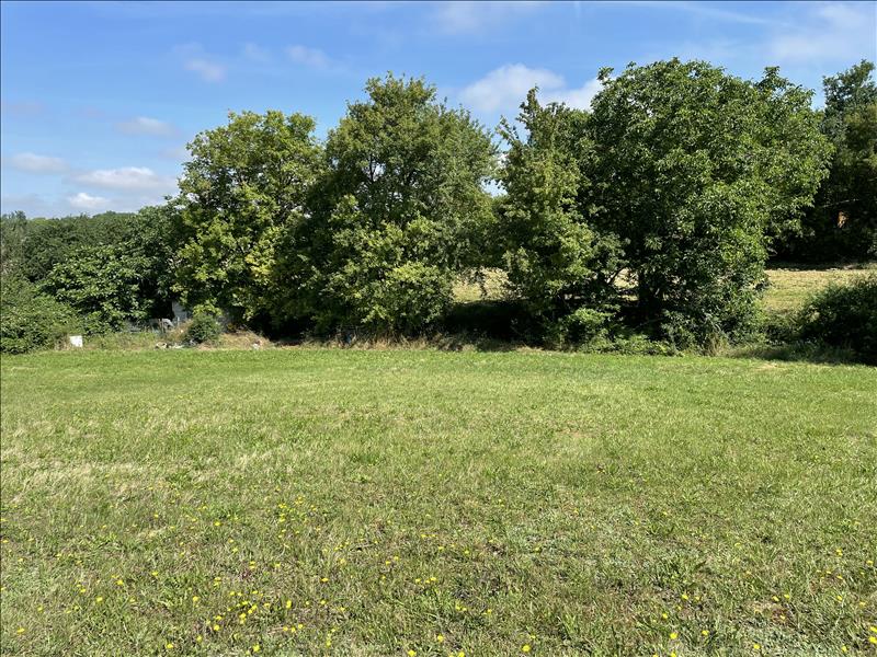 Vente Terrain CADEILHAN - -2308 m² - (32380)