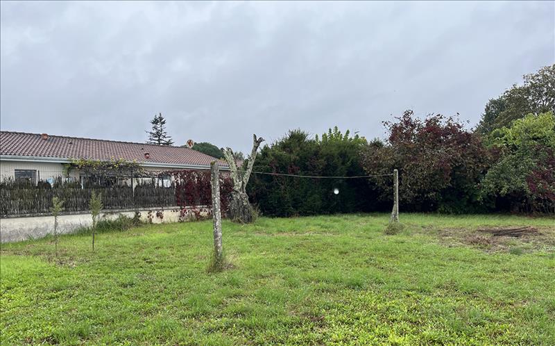 Vente Terrain CASTELNAU DE MEDOC - -500 m² - (33480)