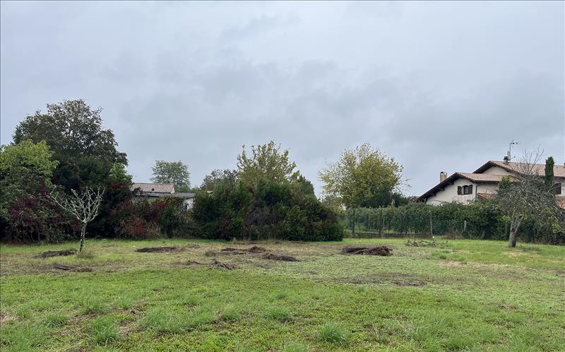 Vente Terrain CASTELNAU DE MEDOC - -524 m² - (33480)
