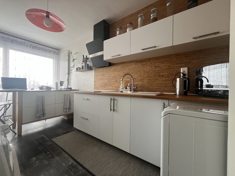 Vente Appartement JOUE LES TOURS - 3 pièces -64 m² - (37300)