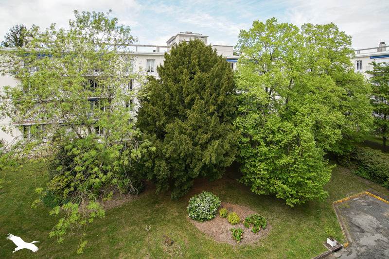 Vente Appartement JOUE LES TOURS - 5 pièces -103 m² - (37300)