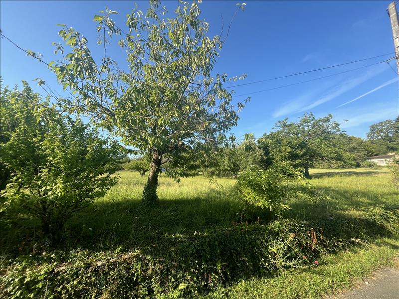 Vente Terrain MARTEL - -2288 m² - (46600)