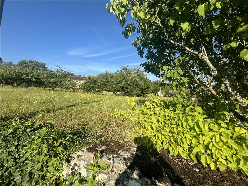Vente Terrain MARTEL - -2288 m² - (46600)
