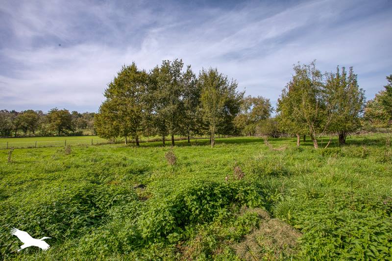 Vente Maison CAVAGNAC - 4 pièces -142 m² - (46110)