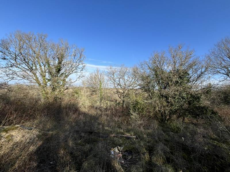 Vente Terrain MONTVALENT - -5456 m² - (46600)