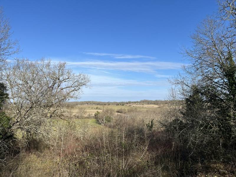 Vente Terrain MONTVALENT - -5456 m² - (46600)