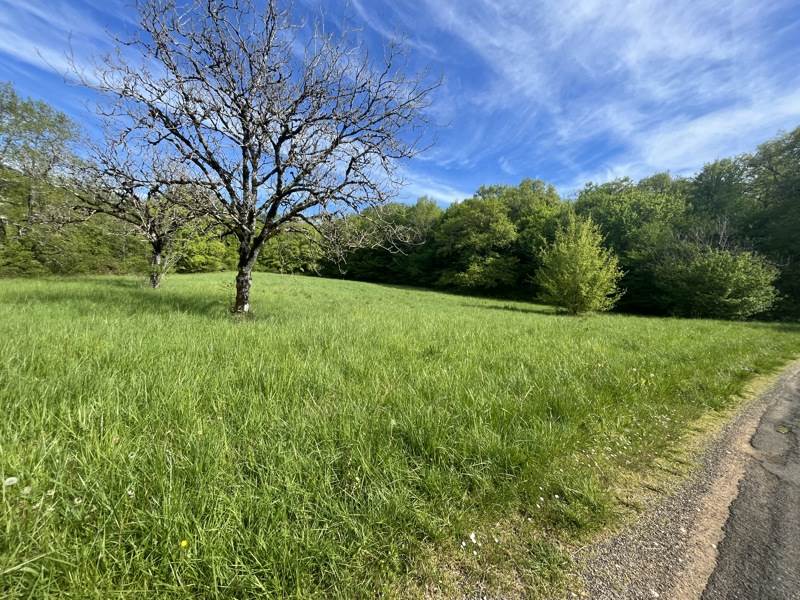 Vente Terrain CRESSENSAC SARRAZAC - -4426 m² - (46600)
