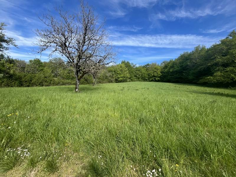 Vente Terrain CRESSENSAC SARRAZAC - -4426 m² - (46600)