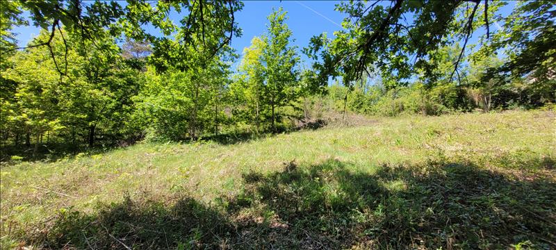 Vente Terrain NONARDS - -4560 m² - (19120)